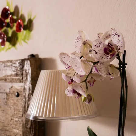 Alojamento de Turismo Rural Rivella Barbaresco