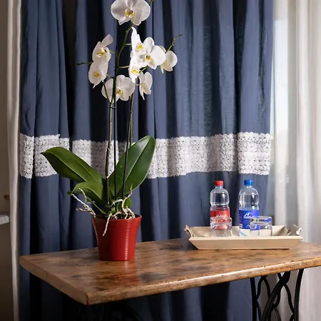 Rivella * Barbaresco