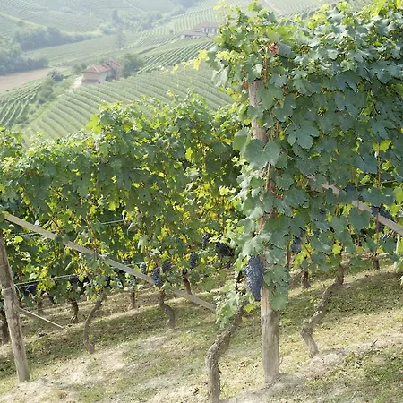 Rivella Vakantieboerderij Barbaresco
