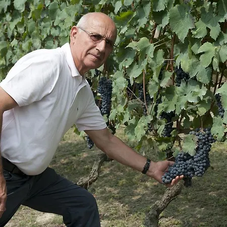 Rivella Lantgård Barbaresco