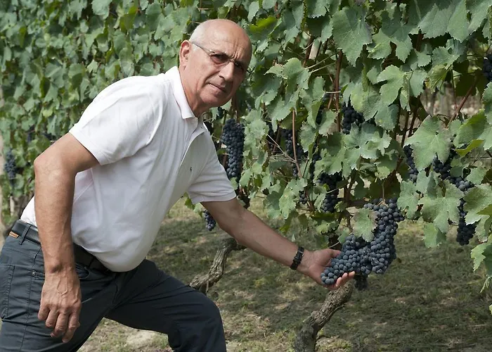 Rivella Agroturismo Barbaresco